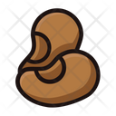 پیش‌نمایش فایل cashew-nuts-1569145 از پک سبزیجات