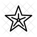 پیش‌نمایش فایل starfish-1584268 از پک ساحل
