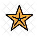 پیش‌نمایش فایل starfish-1584251 از پک ساحل