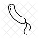 پیش‌نمایش فایل spiral-1584035 از پک باکتری