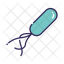 پیش‌نمایش فایل organism-1584014 از پک باکتری