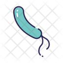 پیش‌نمایش فایل spiral-1584010 از پک باکتری
