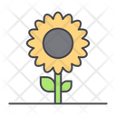 پیش‌نمایش فایل sun-flower-1598865 از پک مزرعه