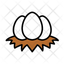 پیش‌نمایش فایل egg-1598842 از پک مزرعه