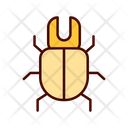 پیش‌نمایش فایل beetle-1609312 از پک حشرات