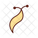 پیش‌نمایش فایل slug-1609317 از پک حشرات