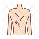 پیش‌نمایش فایل abuse-scar-1610140 از پک آزار و ابوس