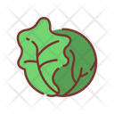 پیش‌نمایش فایل cabbage-1622429 از پک وگان