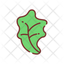 پیش‌نمایش فایل lettuce-1622419 از پک وگان