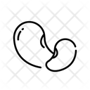 پیش‌نمایش فایل beans-1622456 از پک وگان