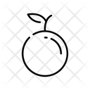 پیش‌نمایش فایل orange-1622440 از پک وگان