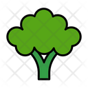 پیش‌نمایش فایل broccoli-1622521 از پک سبزیجات