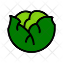 پیش‌نمایش فایل cabbage-1622568 از پک سبزیجات