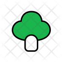 پیش‌نمایش فایل broccoli-1622585 از پک سبزیجات