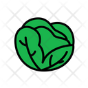پیش‌نمایش فایل cabbage-1622600 از پک سبزیجات