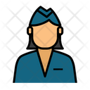 پیش‌نمایش فایل stewardess-1623537 از پک حرفه