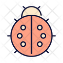 پیش‌نمایش فایل ladybugs-1625164 از پک بهار