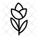 پیش‌نمایش فایل flower-1625148 از پک بهار