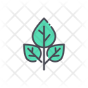 پیش‌نمایش فایل menthol-leaves-1625082 از پک ادویه‌ها