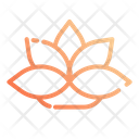 پیش‌نمایش فایل lotus-1637828 از پک خوابیدن