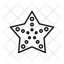 پیش‌نمایش فایل starfish-1638094 از پک تابستان