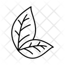 پیش‌نمایش فایل leaf-1639147 از پک تنباکو