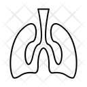 پیش‌نمایش فایل lungs-1639145 از پک تنباکو