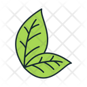 پیش‌نمایش فایل leaf-1639131 از پک تنباکو