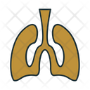 پیش‌نمایش فایل lungs-1639129 از پک تنباکو
