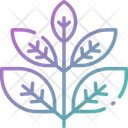 پیش‌نمایش فایل herbs-1680834 از پک درمان