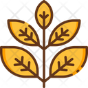 پیش‌نمایش فایل herbs-1680558 از پک درمان
