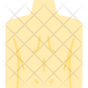 پیش‌نمایش فایل back-body-1680477 از پک درمان