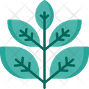 پیش‌نمایش فایل herbs-1680510 از پک درمان