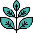 پیش‌نمایش فایل herbs-1680461 از پک درمان