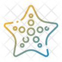 پیش‌نمایش فایل starfish-1685993 از پک تابستان