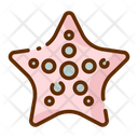 پیش‌نمایش فایل starfish-1685876 از پک تابستان