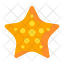 پیش‌نمایش فایل starfish-1685774 از پک تابستان