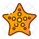 پیش‌نمایش فایل starfish-1685726 از پک تابستان