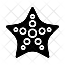 پیش‌نمایش فایل starfish-1685828 از پک تابستان