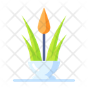پیش‌نمایش فایل aloe-vera-1688301 از پک زیبایی