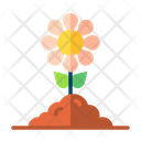 پیش‌نمایش فایل sunflower-1689162 از پک فرامینگ
