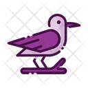 پیش‌نمایش فایل crow-1690052 از پک هالووین