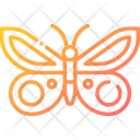 پیش‌نمایش فایل butterfly-1756607 از پک بهار