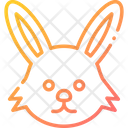 پیش‌نمایش فایل rabbit-1756582 از پک بهار