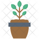 پیش‌نمایش فایل plant-1756532 از پک بهار