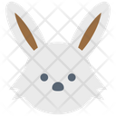پیش‌نمایش فایل rabbit-1756531 از پک بهار