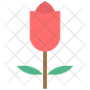 پیش‌نمایش فایل tulip-1756517 از پک بهار