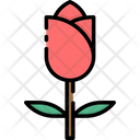 پیش‌نمایش فایل tulip-1756476 از پک بهار