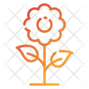 پیش‌نمایش فایل flower-1756405 از پک اکولوژی