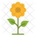 پیش‌نمایش فایل flower-1756351 از پک اکولوژی